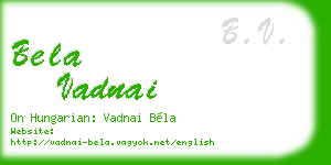 bela vadnai business card
